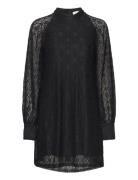 Noella Texas Lace Dress Svart