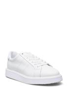 Lauren Ralph Lauren Angeline Iv Action Leather Sneaker Vit