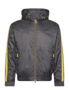 EA7 Jacket Svart