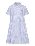 Tommy Hilfiger Ithaca Stripe Dress Blå