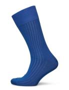 AN IVY Cobalt Blue Ribbed Socks Blå