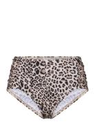 Panos Emporio Pe Leopard Olympia Btm Brun