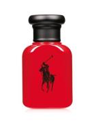 Ralph Lauren - Fragrance Ralph Lauren Polo Red Eau De Toilette 40Ml Nu...