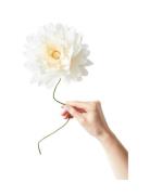 Paper Flower, Grand Dahlia Home Decoration Paper Flowers Cream Studio ...