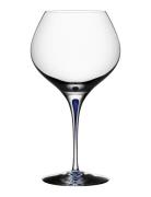 Intermezzo Blue Bouquet 70Cl Home Tableware Glass Wine Glass Red Wine ...