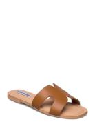 Steve Madden Zarnia Sandal Brun