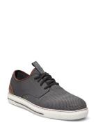 Skechers Mens Pertola - Rolette Svart