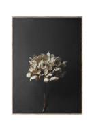 Still Life 04 50X70 Home Decoration Posters & Frames Posters Black & W...