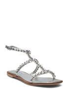 Steve Madden St Lucia Sandal Silver