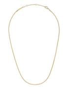 Daniel Wellington Elan Twisted Chain Necklace Short G Guld