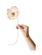 Paper Flower, Poppy Home Decoration Paper Flowers Pink Studio About