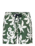 GANT Palm Lei Print Swim Shorts Grön