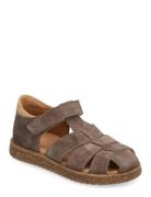 ANGULUS Sandals - Flat - Closed Toe Brun