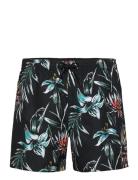 O'neill Mix & Match Cali Print 15'' Swim Shorts Svart