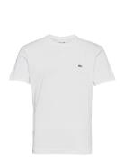 Lacoste Tee-Shirt&Turtle Neck Vit