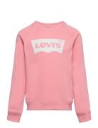 Levi's Levi's® Batwing French Terry Pullover Rosa