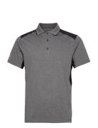 Abacus Mens Scratch 37.5 Polo Grå