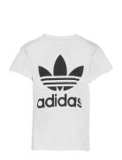 Adidas Originals Trefoil Tee Vit