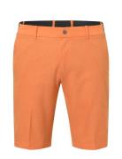 Abacus Men Huntingdale Shorts Orange