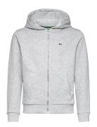 Lacoste Sweatshirts Grå