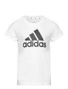 Adidas Sportswear G Bl T Vit