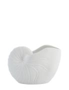 Lene Bjerre Shelise Decoration Shell Vit