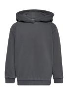 Tom Tailor Hoodie With Back Print Grå