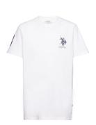 U.S. Polo Assn. Large Dhm T-Shirt Vit