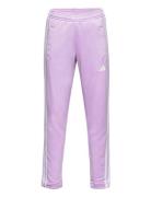 Adidas Performance U Tr-Es 3S Pant Rosa