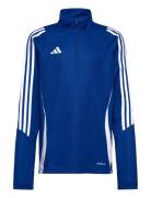 Adidas Performance Tiro24 Trtopy Blå