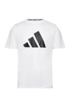 Adidas Performance Run It Tee Vit