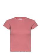 Hunkemöller Top Ss Cotton Rib Babylock Rosa