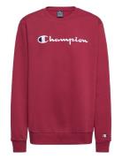 Champion Crewneck Sweatshirt Burgundy