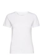 NORVIG Women's O-Neck Tee Vit