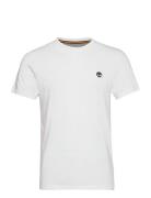 Timberland Short Sleeve Tee Vit