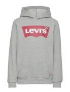 Levi's Levi's® Screenprint Batwing Pullover Hoodie Grå