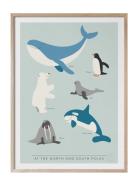 At The North And South Poles - På Engelska Home Kids Decor Posters & F...