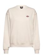 Dickies Millersburg Sweatshirt Kräm