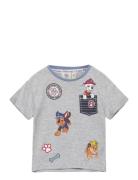 Paw Patrol Short-Sleeved T-Shirt Grå