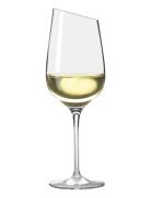 Vinglas Riesling Home Tableware Glass Wine Glass White Wine Glasses Nu...