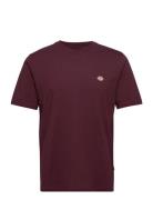 Dickies M Ss Mapleton Tee Burgundy