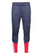 PUMA Individualcup Training Pants Blå