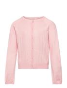 Creamie Cardigan Pointelle Rosa