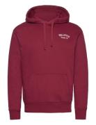 Hollister Hco. Guys Sweatshirts Burgundy