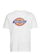 Dickies Icon Logo Tee Vit