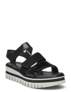 Gabor Sandal Svart