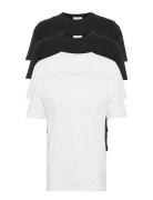 Lindbergh Basic Tee S/S Multi/patterned