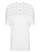 Lindbergh 4Pk Basic Tee S/S Vit