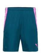 PUMA Teamliga Training Shorts 2 Blå