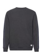 Tommy Hilfiger Hwk Track Top Grå